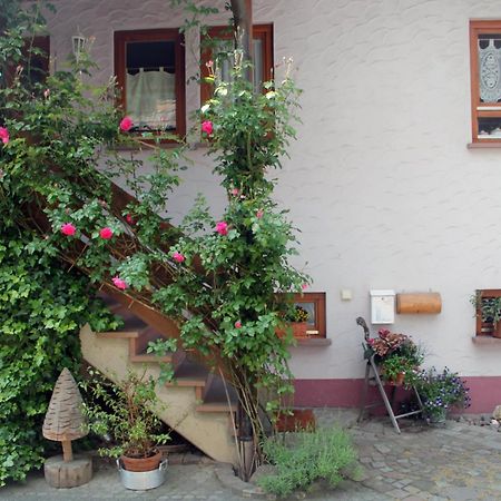 Appartement Haus Am Bergli à Herbolzheim Extérieur photo