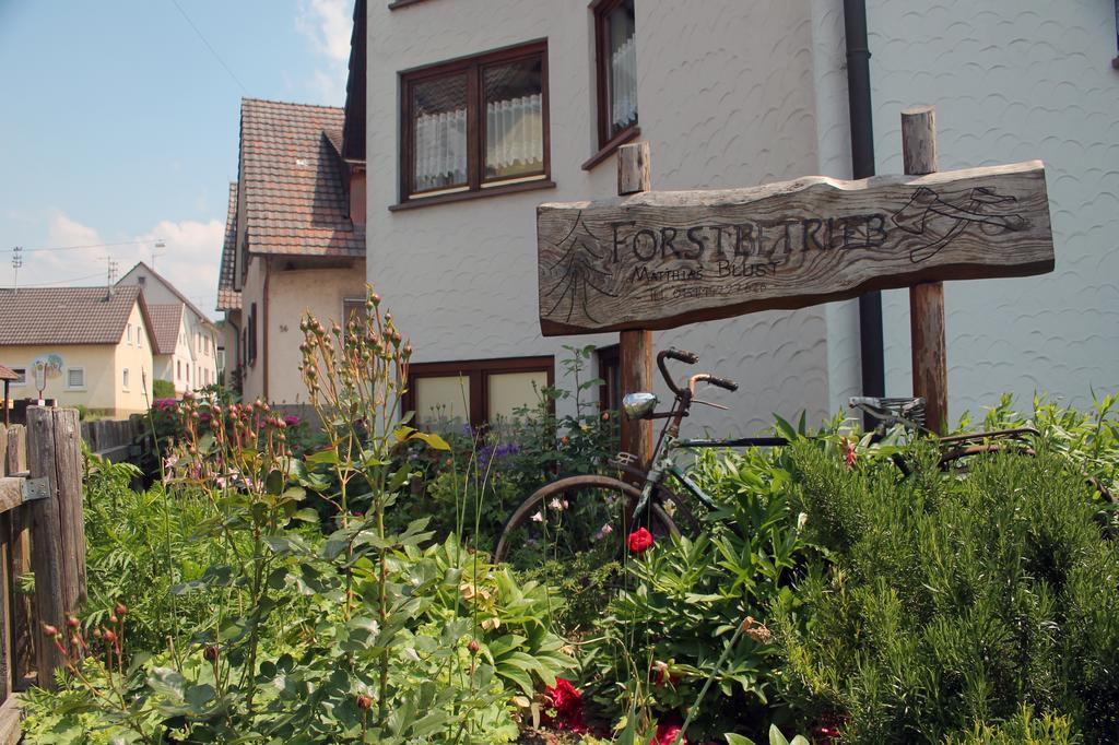 Appartement Haus Am Bergli à Herbolzheim Chambre photo