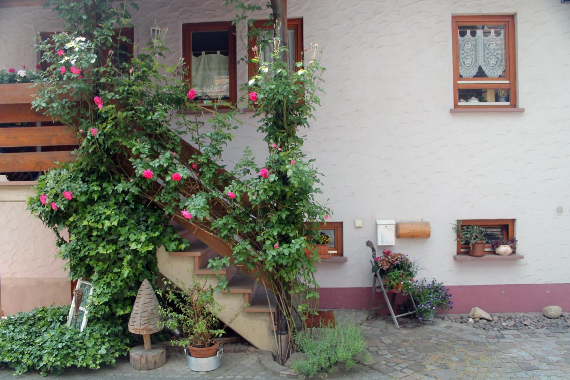 Appartement Haus Am Bergli à Herbolzheim Extérieur photo