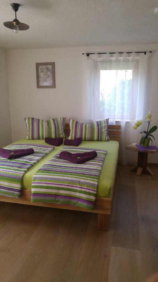Appartement Haus Am Bergli à Herbolzheim Extérieur photo